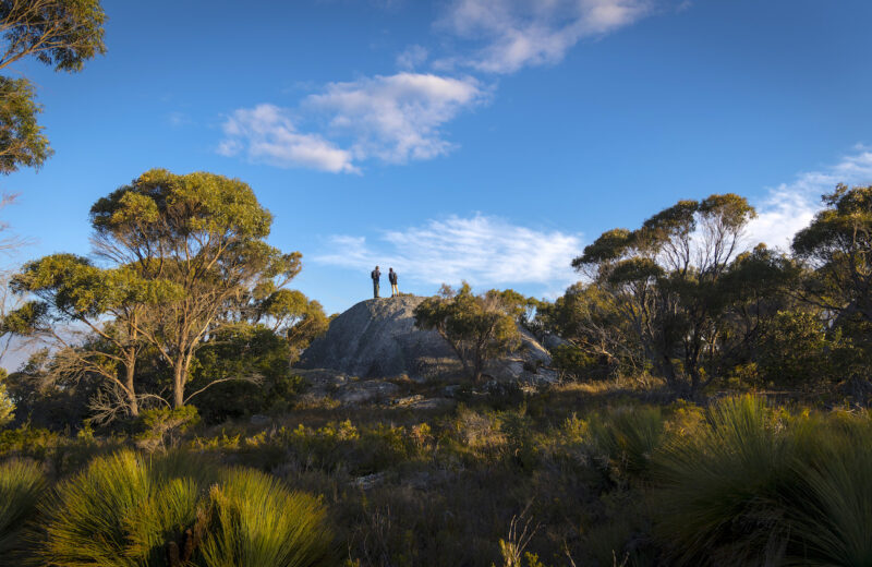 Mindfulness and Walking: 5 Stunning Tasmanian Walks to Experience this Winter
