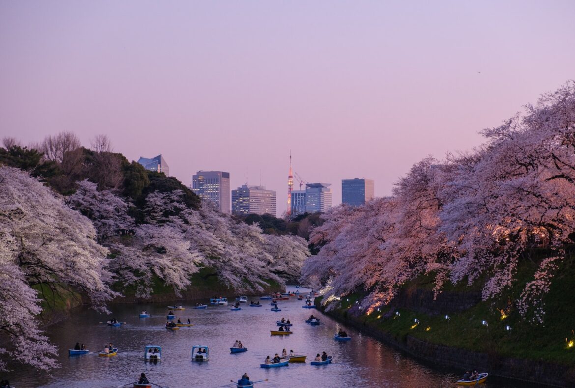 15 Unique Must-Do Japan Experiences Every Traveller Should Try Once