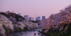 15 Unique Must-Do Japan Experiences Every Traveller Should Try Once