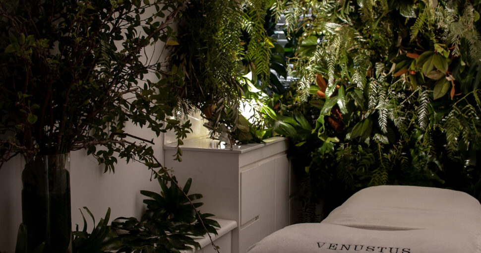 Venustus: Lux Nomade tries an energy-focused wellness theraphy in Paddington